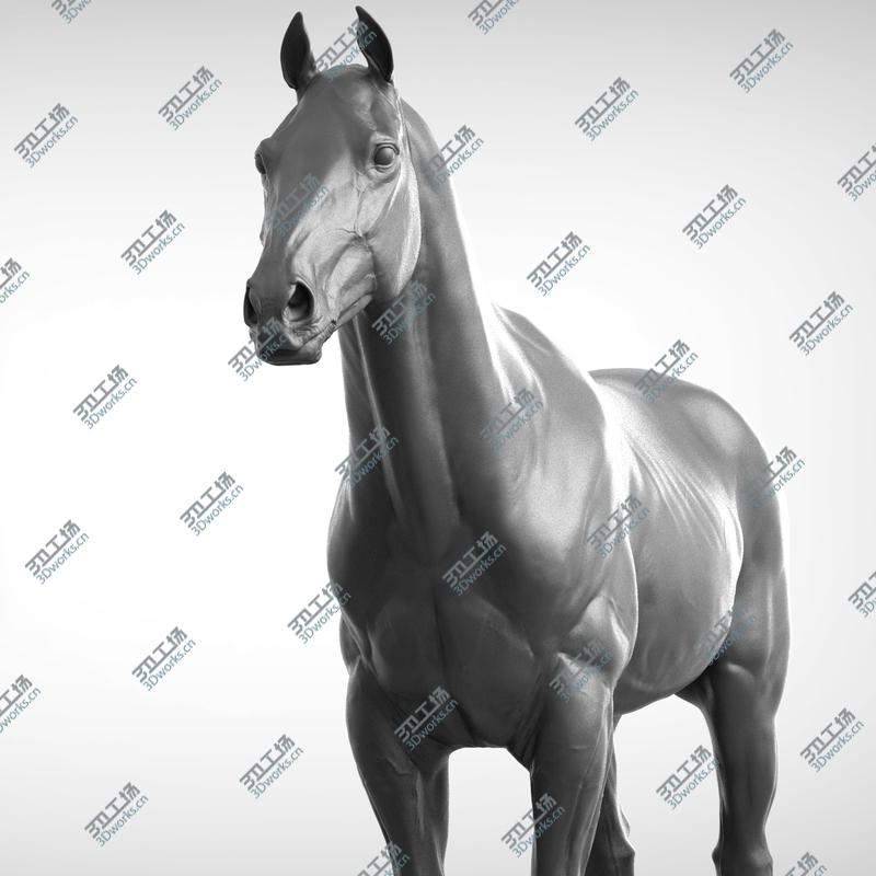 images/goods_img/20210313/3D Base Horse v2/1.jpg
